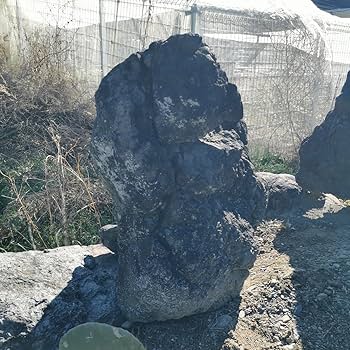Amazon.co.jp: 浅間溶岩石166キロ庭石鑑賞石石盆石水石灯籠庭坪